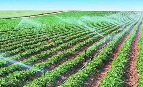 国产大鸡巴黄色片农田高 效节水灌溉